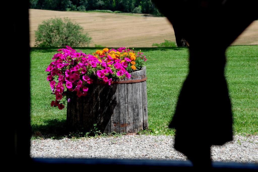 Agriturismo Castello Saltemnano بونكونفينتو الغرفة الصورة